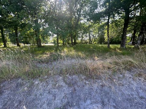 Terrain à vendre - Belhade (40410)