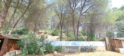 photo no. 4