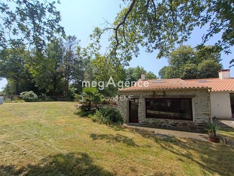 photo no. 2
