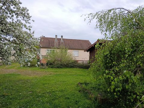 photo no. 6