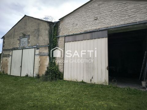 photo no. 14