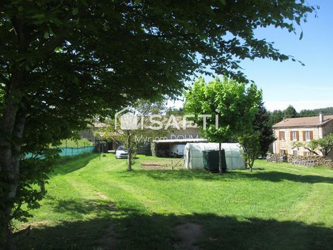 photo no. 12