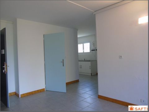 photo no. 9