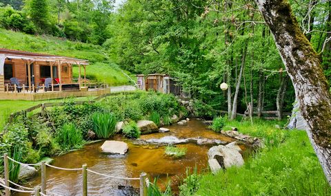 AUVERGNE MOULIN GITES CHAMBRES D’HÔTES RIVIERE 1.5 HA