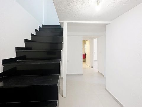 photo no. 12
