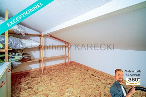 photo no. 11