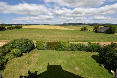 photo no. 8