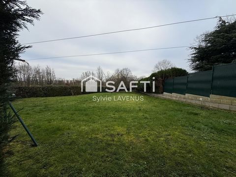 photo no. 11
