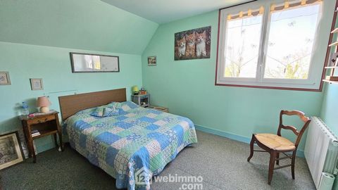 photo no. 11