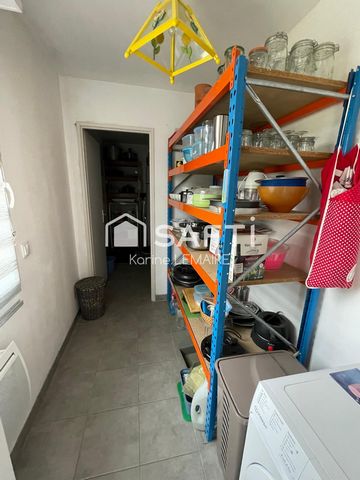 photo no. 11