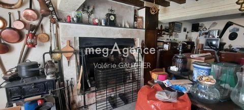 photo no. 18