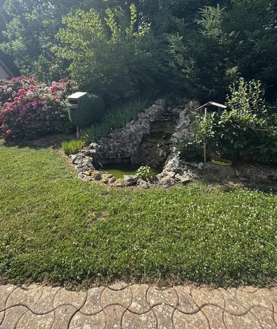 photo no. 13