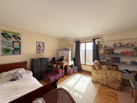 photo no. 11