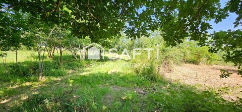 photo no. 13