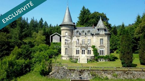 Château 15 pièces et dépendances