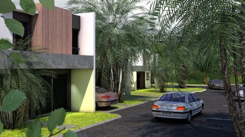 photo no. 3