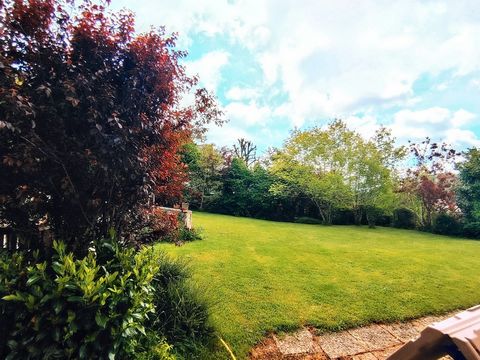 photo no. 18