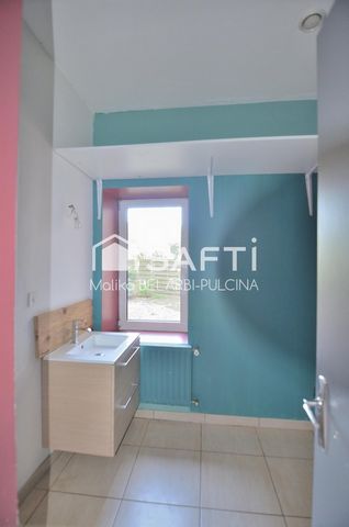 photo no. 12