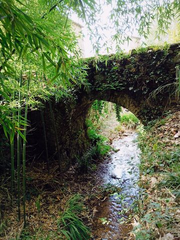 photo no. 10
