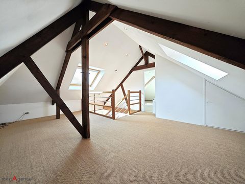 photo no. 7