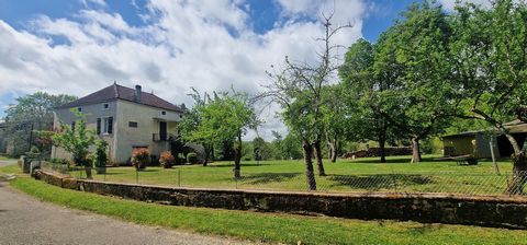 photo no. 12