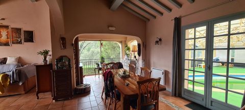 photo no. 11