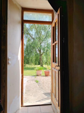 photo no. 8