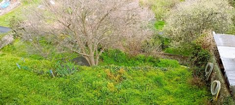 photo no. 14