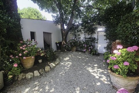 photo no. 15