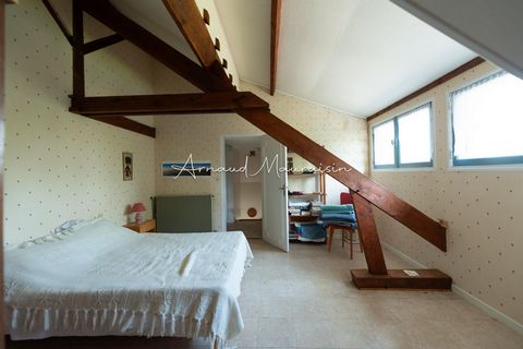 photo no. 9