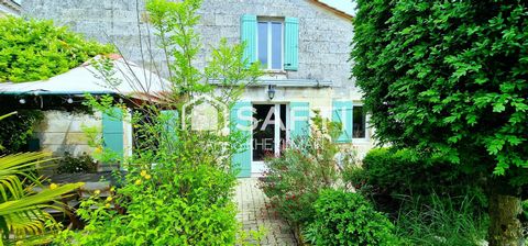 photo no. 14