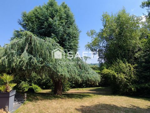 photo no. 13