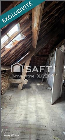 photo no. 11