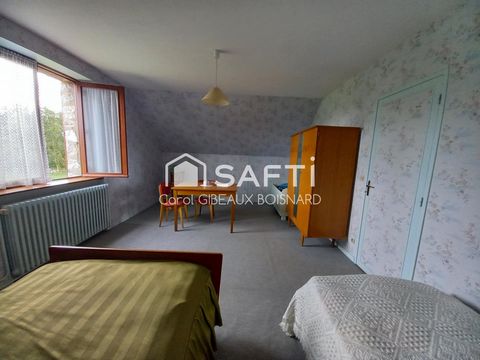 photo no. 12