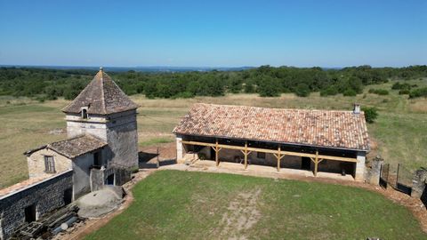 photo no. 15