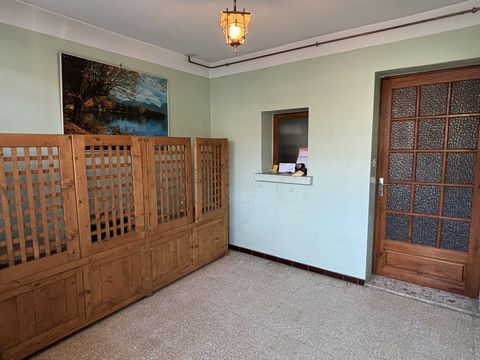 photo no. 7