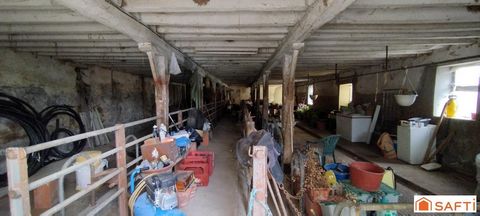 photo no. 19