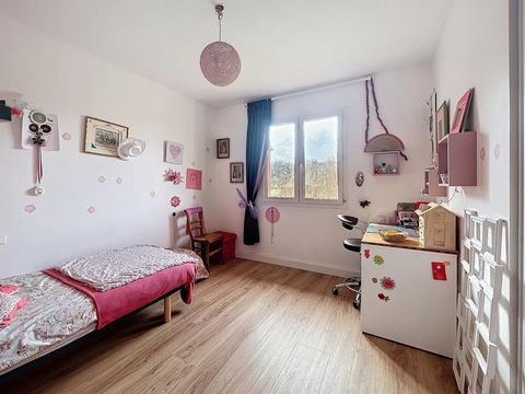 photo no. 5