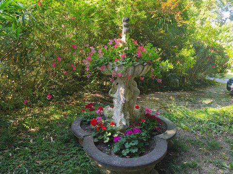 photo no. 27
