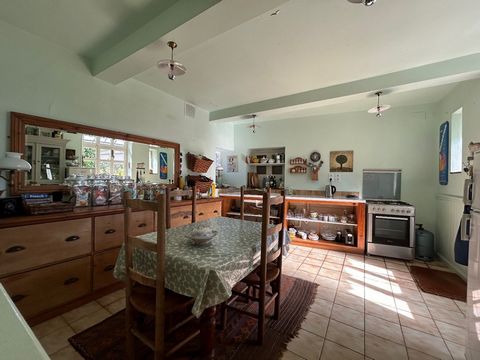 photo no. 6