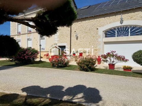 photo no. 11