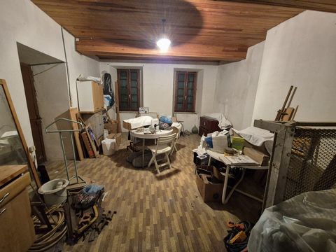 photo no. 11