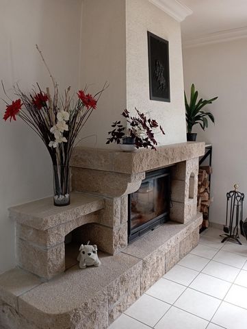 photo no. 12