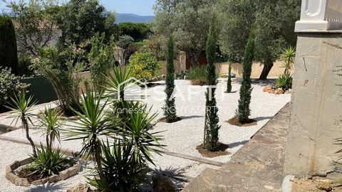 photo no. 11