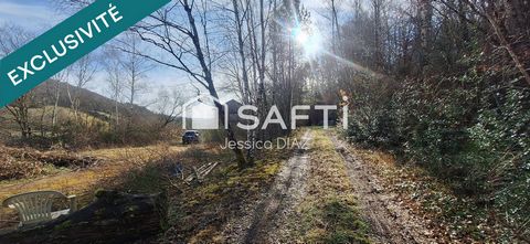 photo no. 16