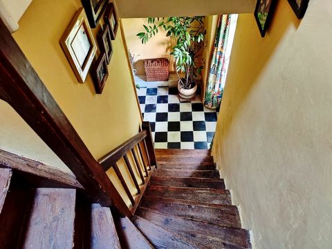 photo no. 9