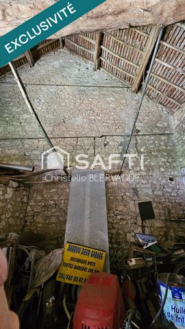 photo no. 11