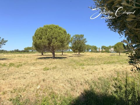 Terrain à vendre de 987m2 proche de PEZENAS (34)