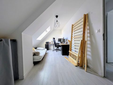 photo no. 9
