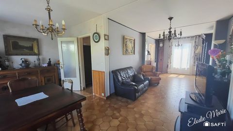 photo no. 6